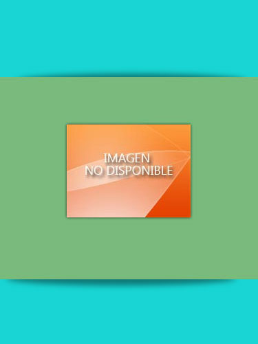 Cierra puerta BARTAK zinc 76 mm