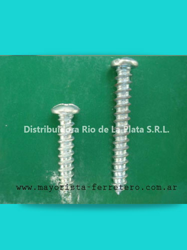Tornillo para riel